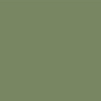 Epic Courts Court Colors Olive Green