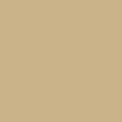 Epic Courts Court Colors Sand