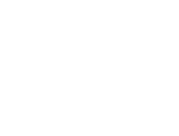Epic Courts Logo